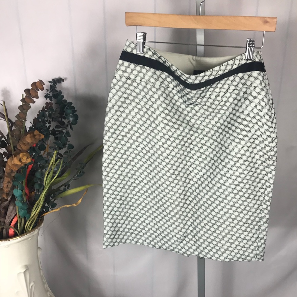The Limited skirt